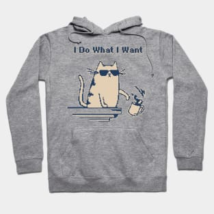 I Do What I Want - 1Bit Pixelart Hoodie